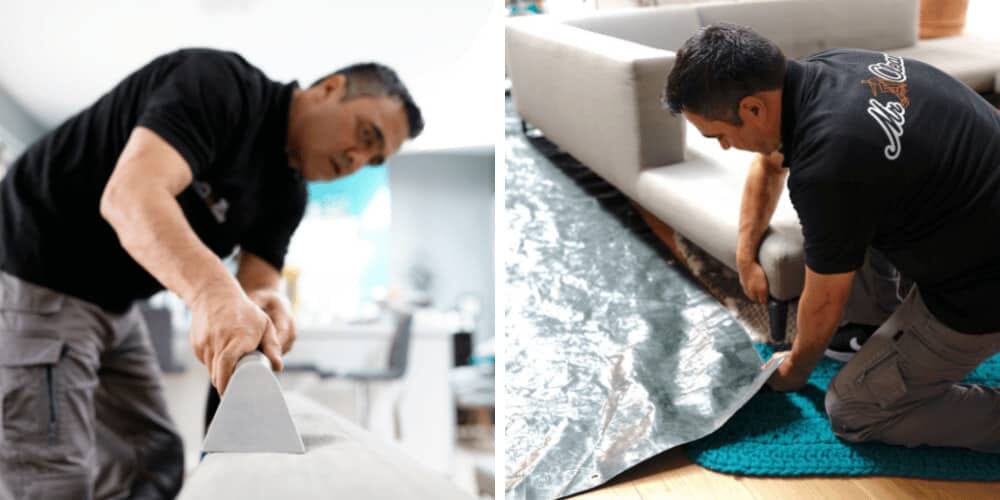 Professional Cleaning Service in Zurich Mr. Cleaner